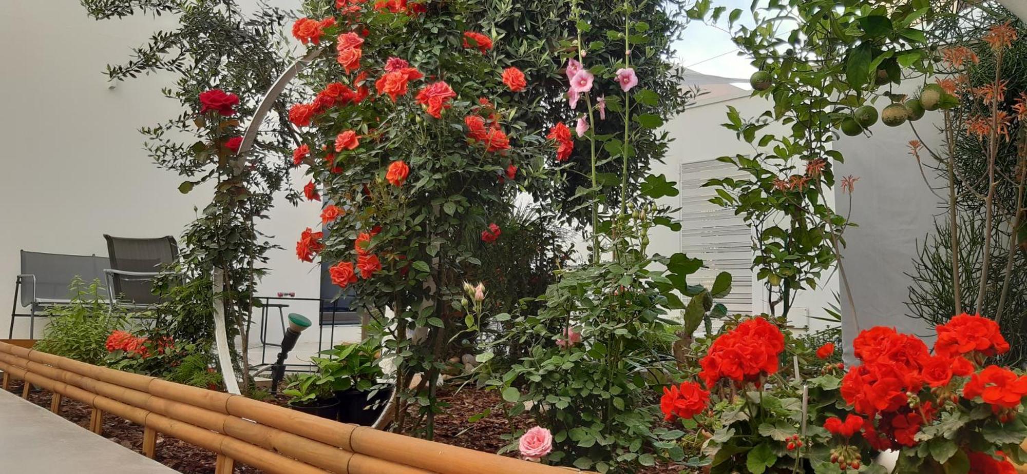 Patio 101 "Exclusive" Bed & Breakfast ซานวิโต โลคาโป ภายนอก รูปภาพ