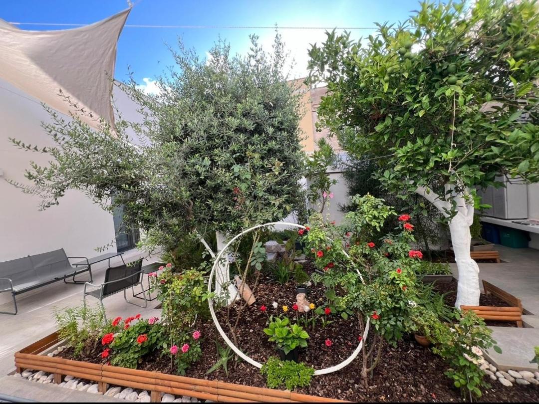 Patio 101 "Exclusive" Bed & Breakfast ซานวิโต โลคาโป ภายนอก รูปภาพ